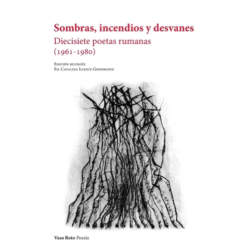 Sombras, incendios y desvanes - Paperback