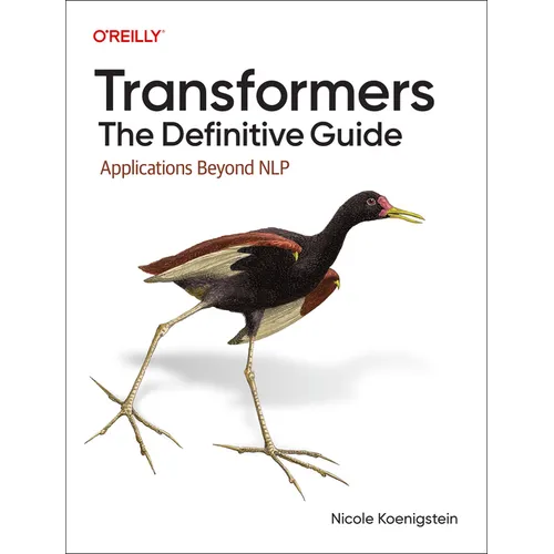 Transformers: The Definitive Guide: Applications Beyond Nlp - Paperback
