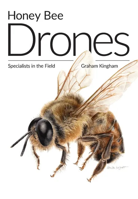 Honey Bee Drones: Specialists in the Field - Paperback