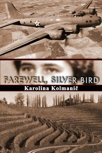 Farewell, Silver Bird - Paperback
