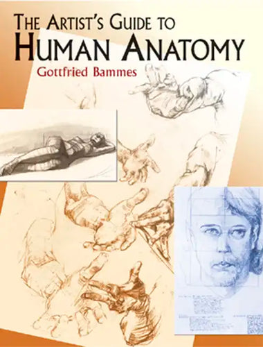 The Artist's Guide to Human Anatomy - Paperback