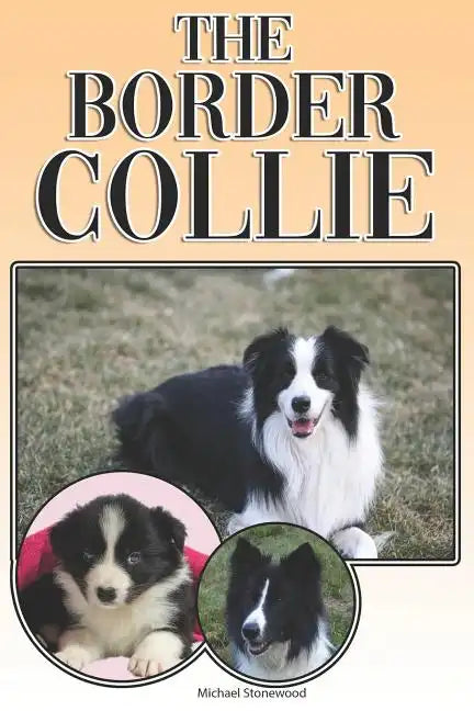 The Border Collie: A Complete and Comprehensive Owners Guide To: Buying, Owning, Health, Grooming, Training, Obedience, Understanding and - Paperback