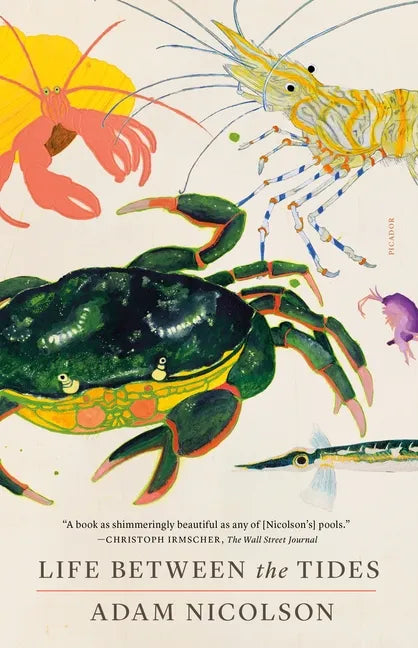 Life Between the Tides - Paperback