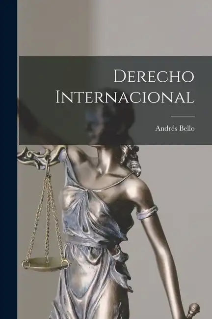 Derecho Internacional - Paperback