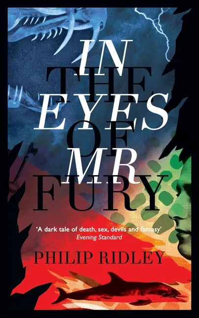 In the Eyes of Mr Fury - Paperback