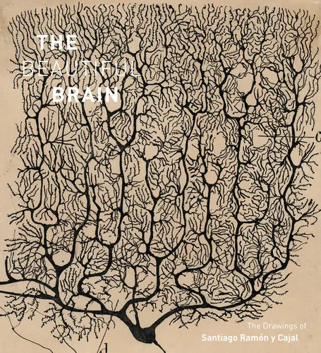 The Beautiful Brain: The Drawings of Santiago Ramon Y Cajal - Hardcover