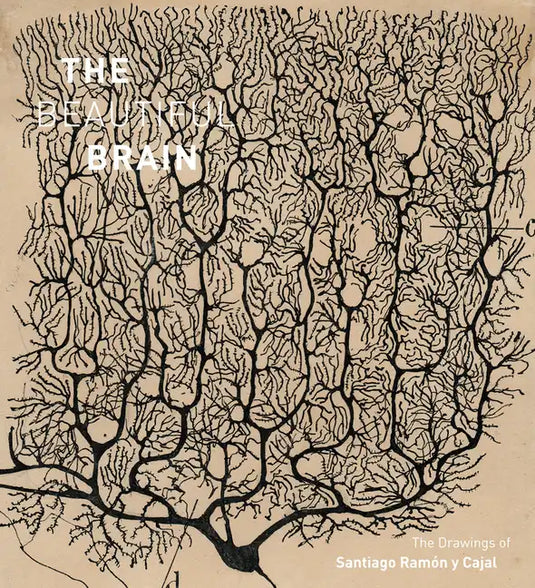 The Beautiful Brain: The Drawings of Santiago Ramon Y Cajal - Hardcover