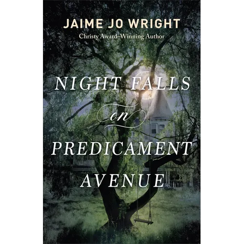 Night Falls on Predicament Avenue - Hardcover