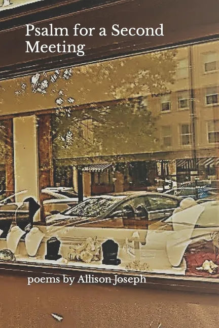 Psalm for a Second Meeting - Paperback