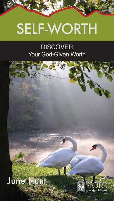 Self-Worth: Discover Your God-Given Worth - Paperback