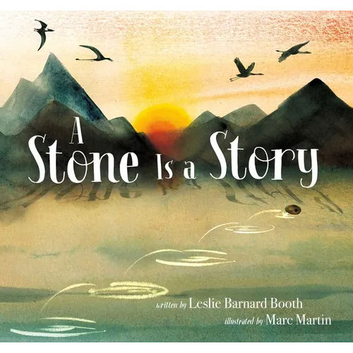 A Stone Is a Story - Hardcover