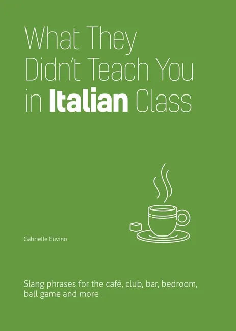 What They Didn't Teach You in Italian Class: Slang Phrases for the Cafe, Club, Bar, Bedroom, Ball Game and More - Paperback