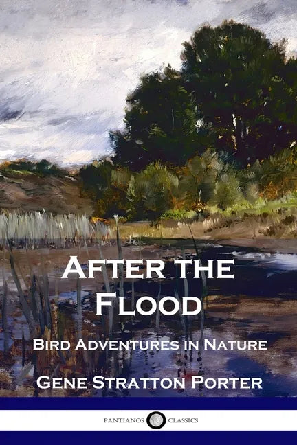After the Flood: Bird Adventures in Nature - Paperback
