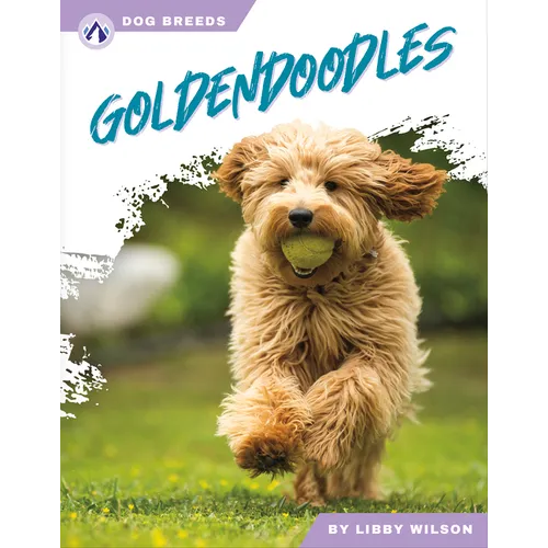 Goldendoodles - Paperback