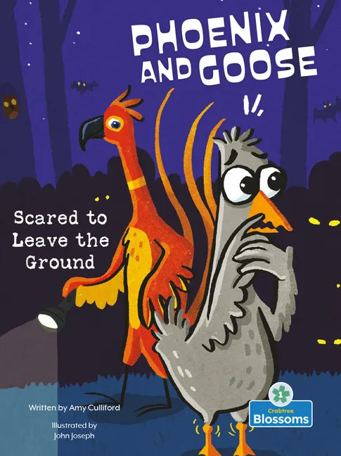 Scared to Leave the Ground - Library Binding