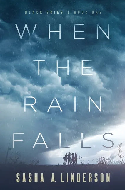 When the Rain Falls - Paperback