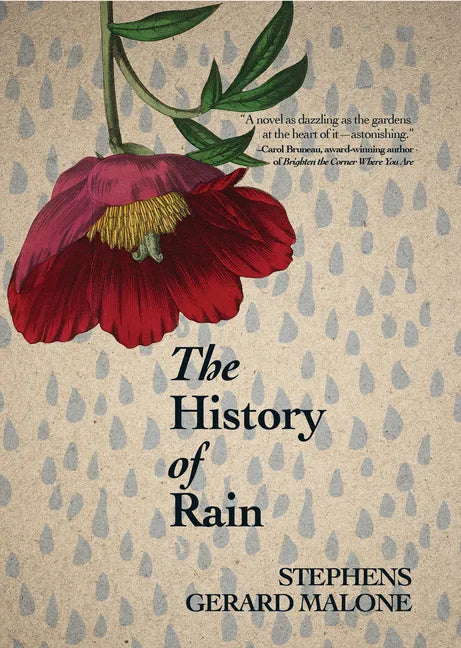 The History of Rain - Paperback