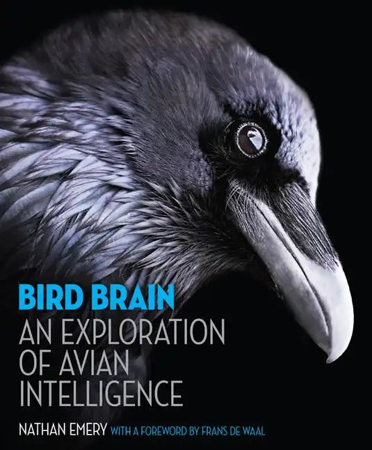 Bird Brain: An Exploration of Avian Intelligence - Hardcover