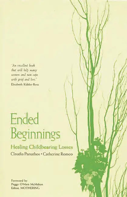 Ended Beginnings: Healing Childbearing Losses - Paperback