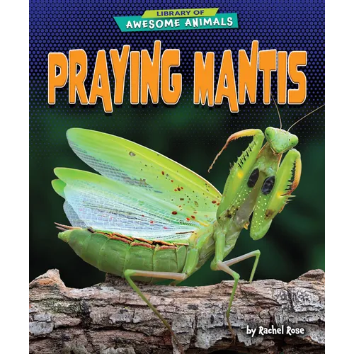 Praying Mantis - Library Binding