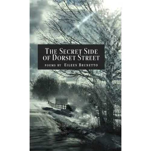 The Secret Side of Dorset Street - Hardcover