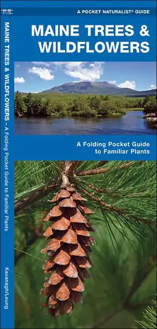 Maine Trees & Wildflowers: A Folding Pocket Guide to Familiar Plants - Hardcover