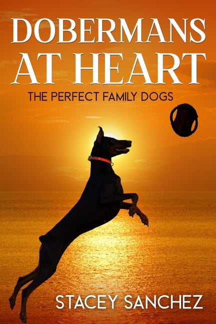 Dobermans at Heart - Paperback