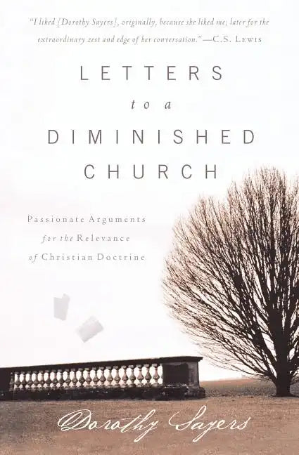 Letters to a Diminished Church: Passionate Arguments for the Relevance of Christian Doctrine - Paperback