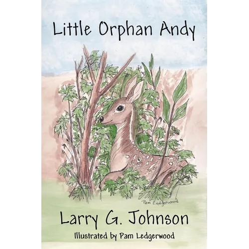 Little Orphan Andy - Paperback