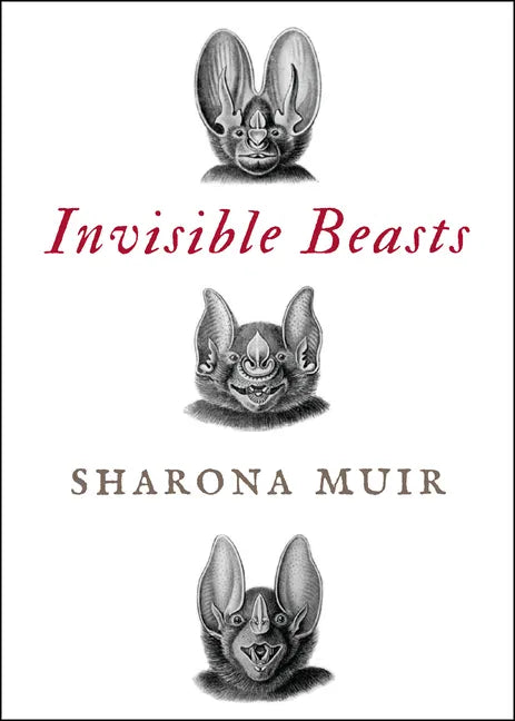 Invisible Beasts: Tales of the Animals That Go Unseen Among Us - Paperback