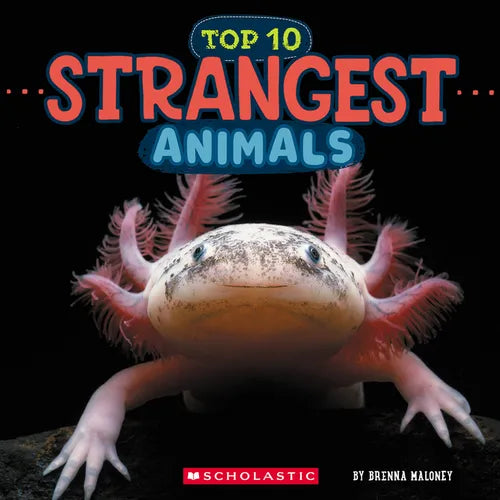 Strangest Animals (Wild World: Top 10) - Hardcover