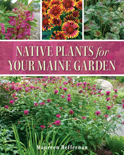 Native Plants for Your Maine Garden - Paperback