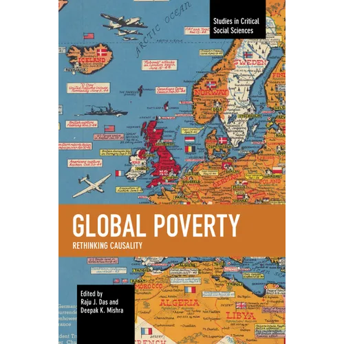 Global Poverty: Rethinking Causality - Paperback