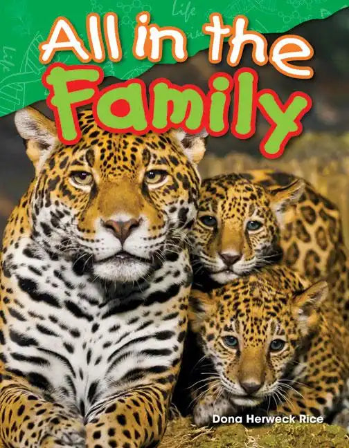 All in the Family - Paperback