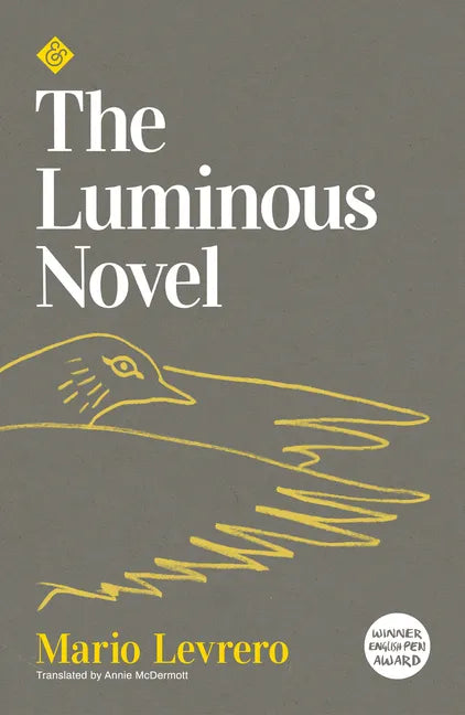 Luminous Novel - Paperback