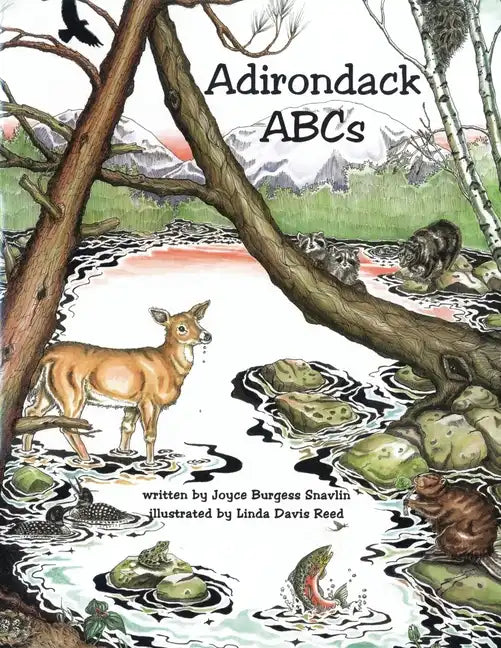 Adirondack ABCs - Paperback