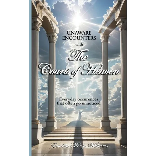 Unaware Encounters with the Courts of Heaven - Paperback