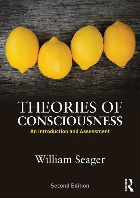 Theories of Consciousness: An Introduction and Assessment - Paperback