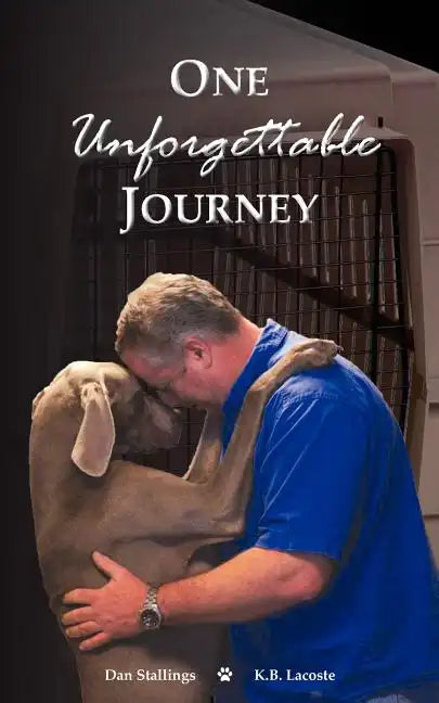 One Unforgettable Journey - Paperback