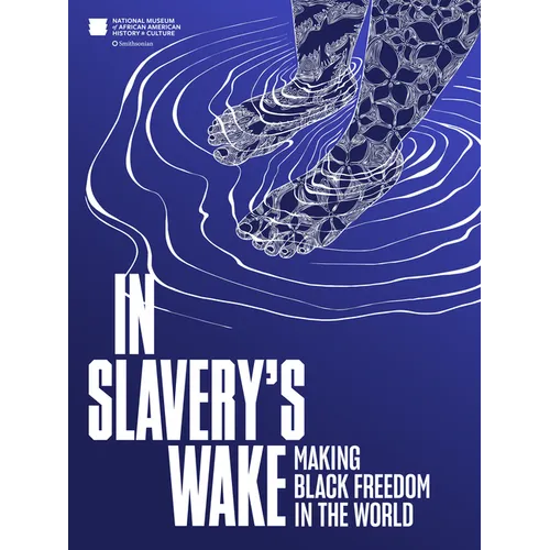 In Slavery's Wake: Making Black Freedom in the World - Hardcover