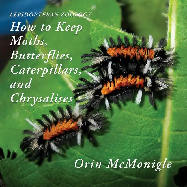 Lepidopteran Zoology: How to Keep Moths, Butterflies, Caterpillars, and Chrysalises - Paperback