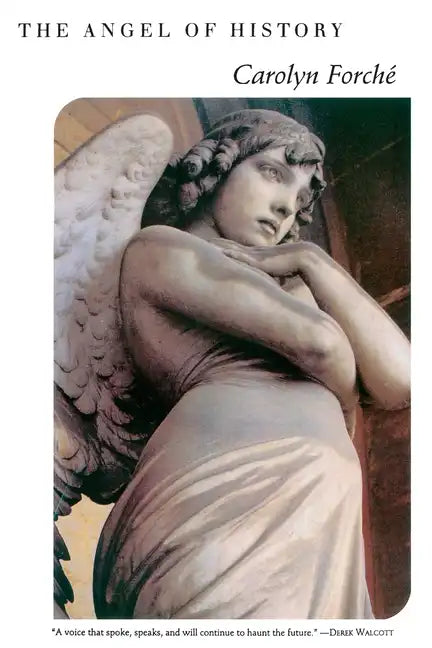 The Angel of History - Paperback
