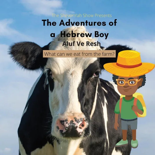 The Adventures of a Hebrew Boy: What Can We Eat From the Farm? - Paperback