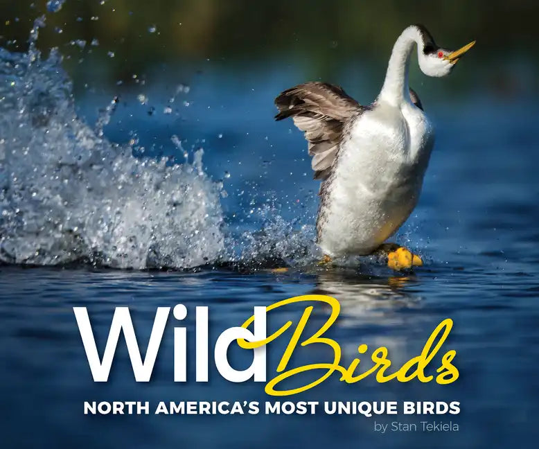 Wild Birds: North America's Most Unique Birds - Paperback