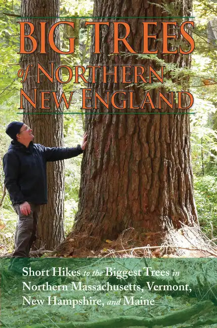 Big Trees of Northern New England - Paperback