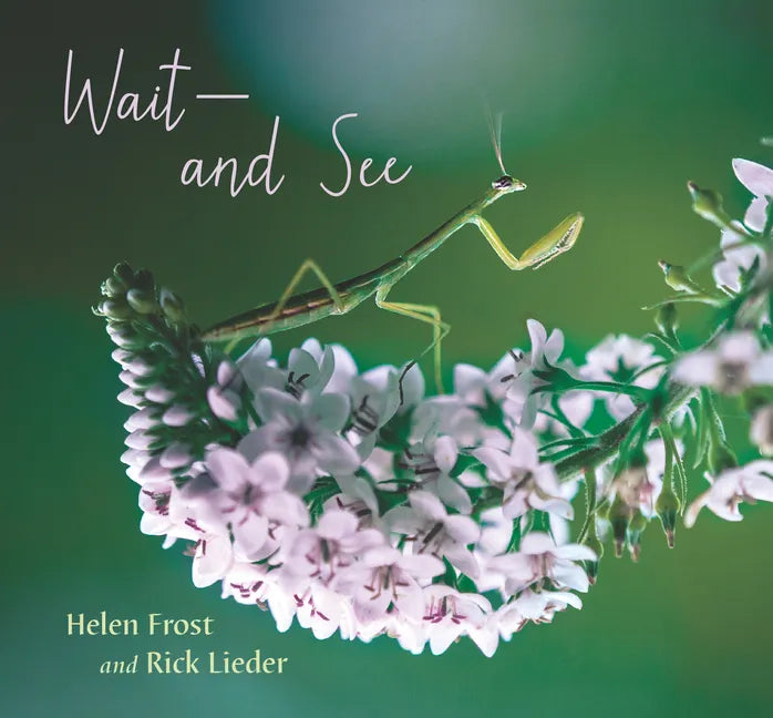 Wait and See - Hardcover