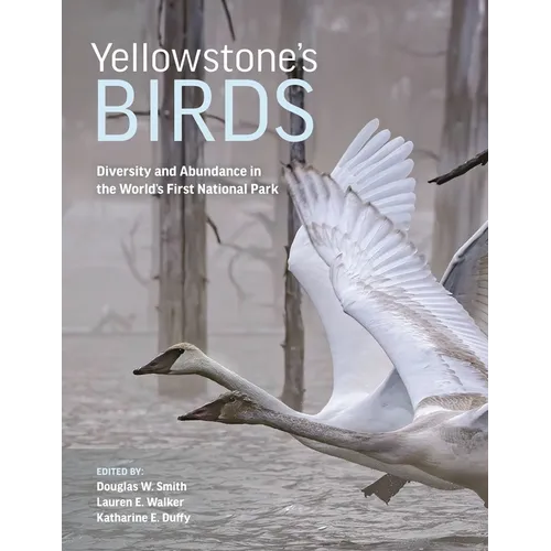 Yellowstone's Birds: Diversity and Abundance in the World's First National Park - Hardcover