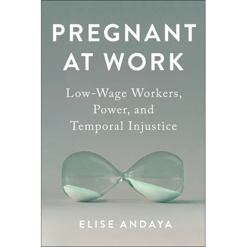 Pregnant at Work: Low-Wage Workers, Power, and Temporal Injustice - Paperback