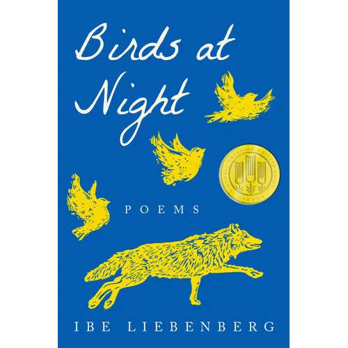 Birds at Night: Poems - Paperback