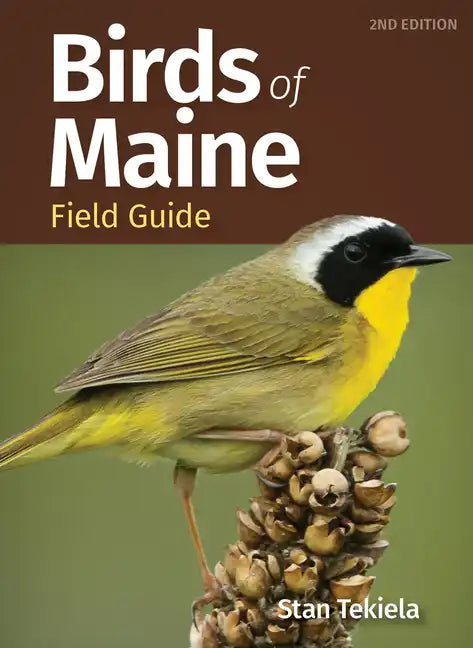 Birds of Maine Field Guide - Paperback